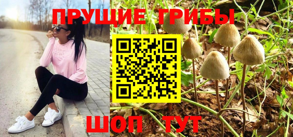 Псилоцибиновые грибы мицелий Славянск-на-Кубани